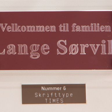 Skilt